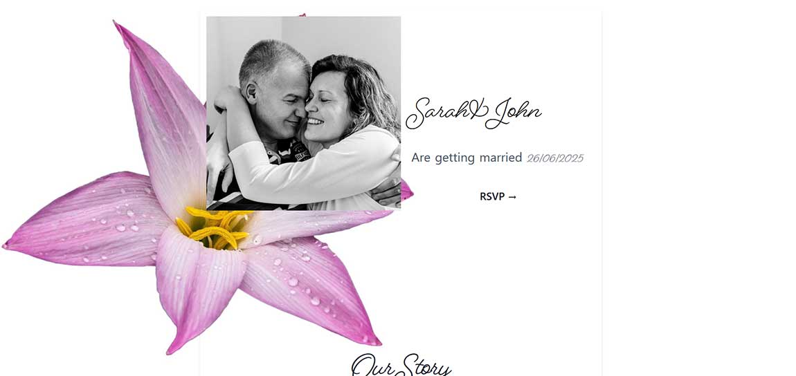 lilly theme preview screenshot