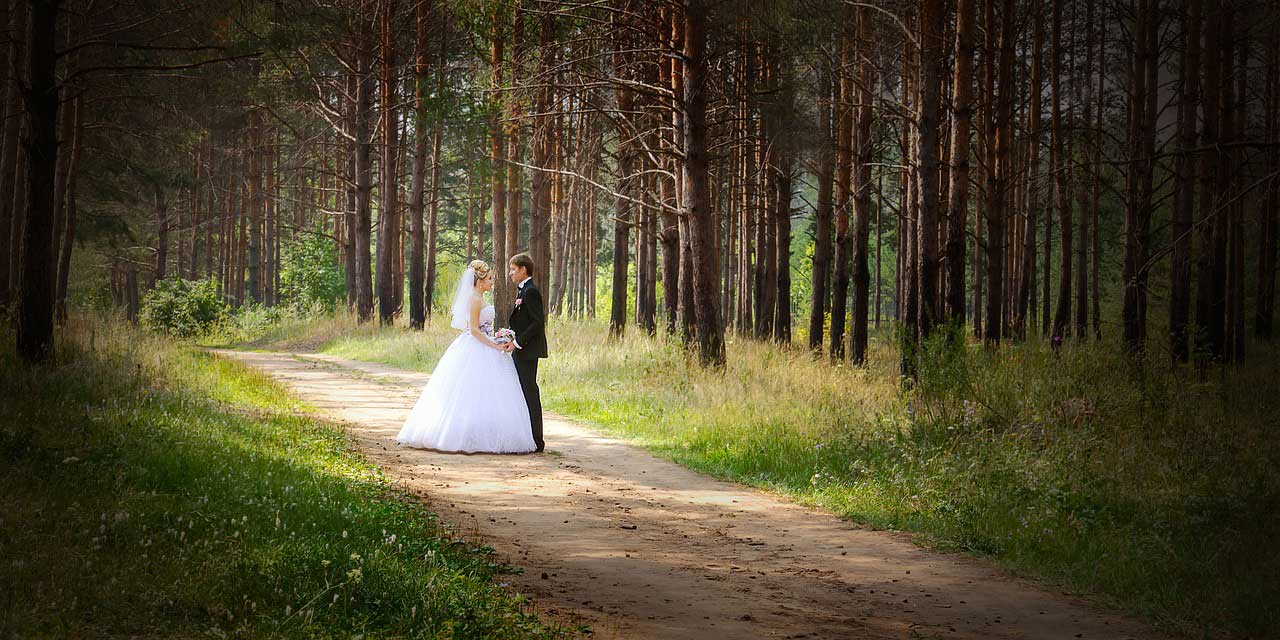 Wedding couple in forest